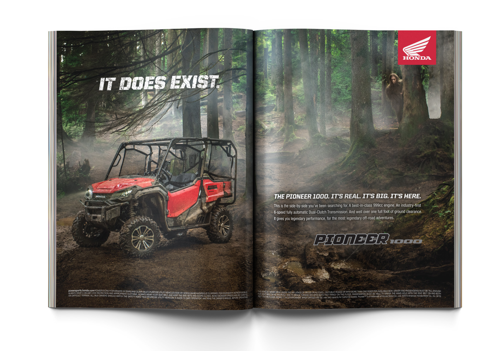 Pioneer 1000 print ad 1